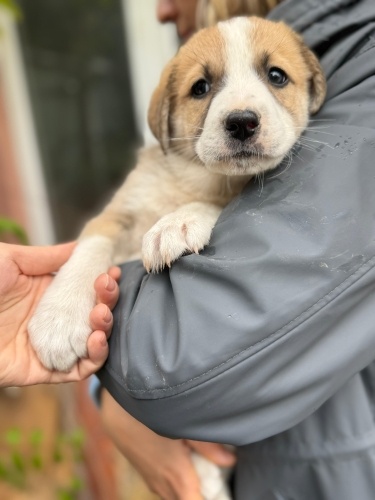 Stark yuva arıyor ❤️ fotoğraf