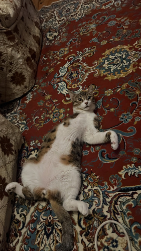 Kendisi ENGELLİ Hayatı ENGELSİZ Olsun fotoğraf