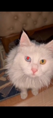 Yavrumuza yuva arıyoruz fotoğraf