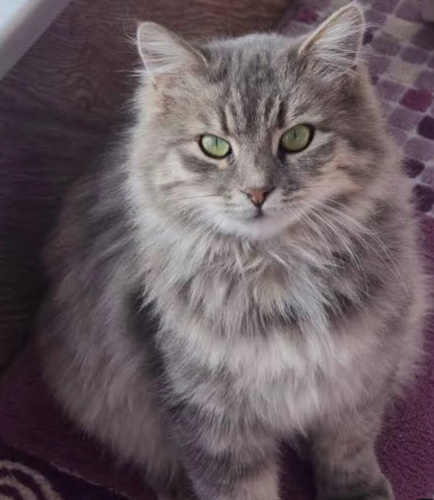 Doğalgaz faturasını azaltacak çözüm mü arıyorsunuz fotoğraf