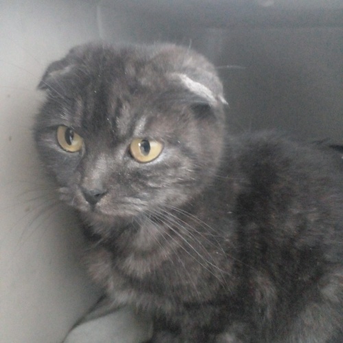 Açıklamayı okuyunuz fotoğraf