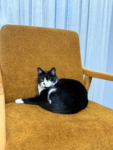 BEN ANNEMDEN MECBUREN AYRILMAK ZORUNDA OLAN BİR CAN’IM fotoğraf