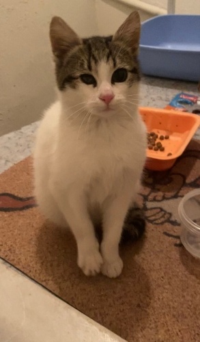 Umut bebek kendisine evini ve kalbini açacak ailesini bekliyor fotoğraf