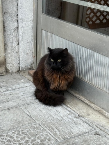 Kömür değil Elmas🖤 fotoğraf