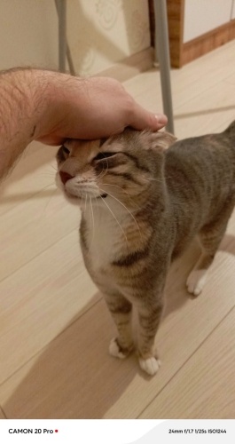 İlgi ve sevgi delisi tatlı kızımız dorothy fotoğraf