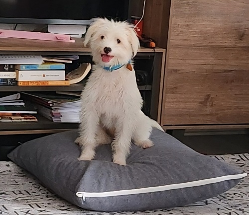 1 yaşında dünya tatlısı fotoğraf