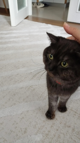 Sevimli tatlı oğlumuz Acilll yuva arıyoruz fotoğraf