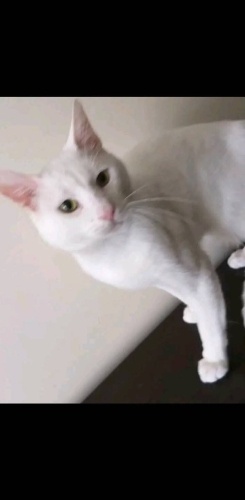 COK SAKIN VE UYSAL fotoğraf