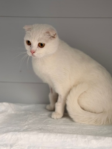 Üretimden kurtulmuş bir anne fotoğraf