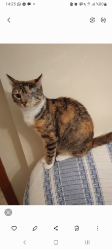 Tek gozlu Prenses bir kiz fotoğraf