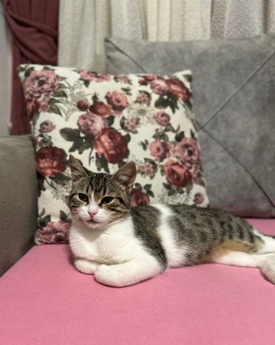 NARİN ÖMÜRLÜK YUVASINI ARIYOR fotoğraf