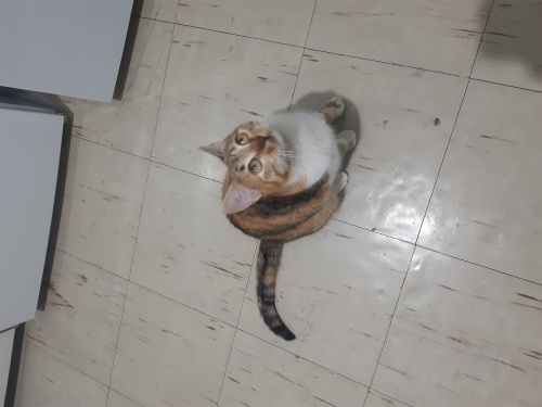 Ömürlük Ailesini Arıyor 💚 fotoğraf