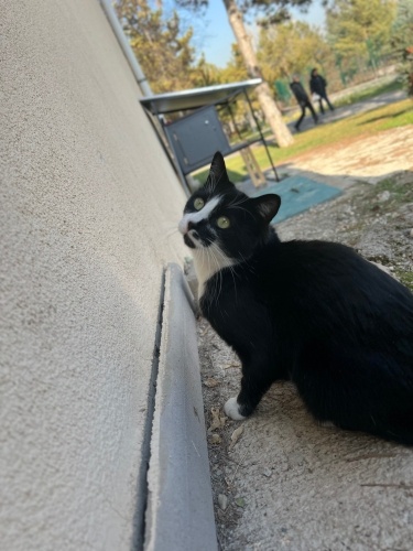 ÇARŞI KIZIMIZA YUVA ❤️ fotoğraf