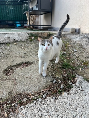 ÖKSÜZ OĞLUŞA YUVA ❤️ fotoğraf