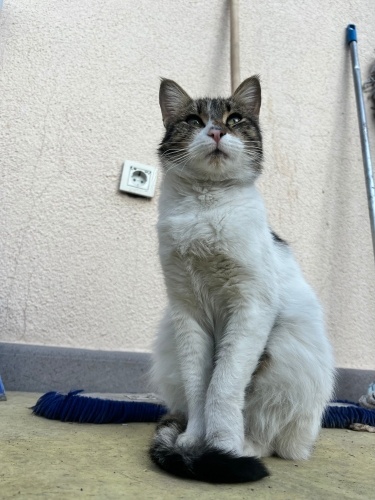 İPEK KIZIMIZA YUVA ❤️ fotoğraf