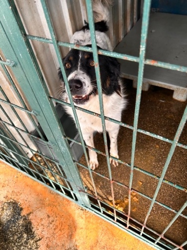 Barinakta 1 hafta oldu.acillll alinmasi gerekiyor!!!! fotoğraf