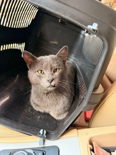 Bazen bir hayat, sadece “ben alırım” demeyi bekler fotoğraf