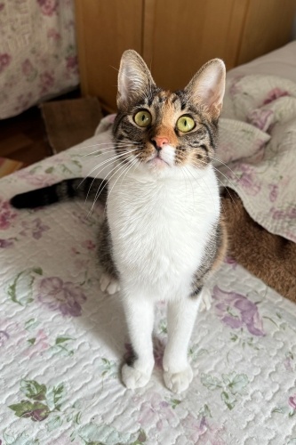 Luna ömürlük ailesini arıyor! fotoğraf