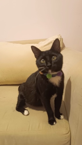 Smokin kizimiza yuva fotoğraf