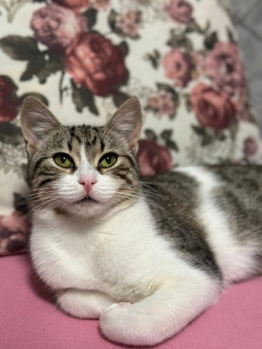 NARİN ÖMÜRLÜK YUVASINI ARIYOR fotoğraf