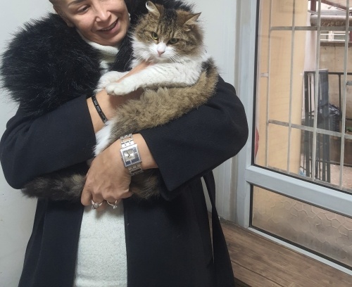 NORVEÇ ORMAN VETERİNERDEN ‼️ fotoğraf