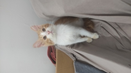 Ömürlük sıcacık bir yuvam olsun fotoğraf