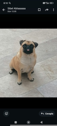 Tek kelime ile dost fotoğraf