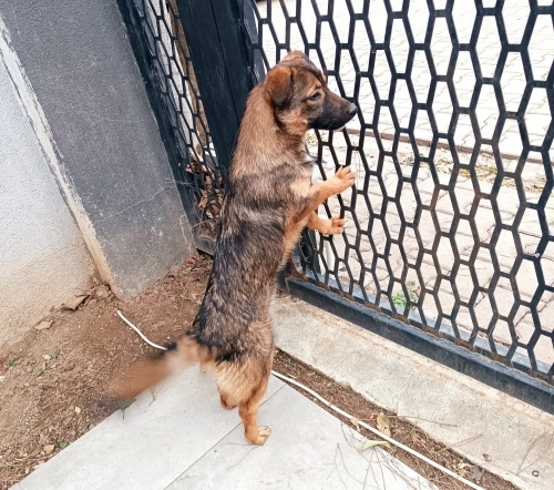 Güzel kızımıza ömürlük yuva fotoğraf