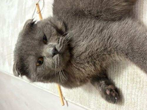 Tarlaya terkedilmiş, ömürlük yuvasını arıyoruz. fotoğraf