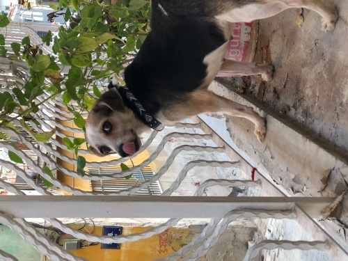 Güzel gözlü kızım ARİA fotoğraf