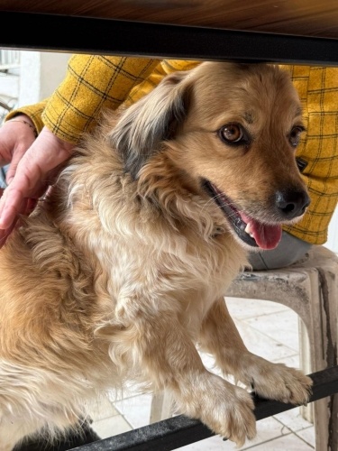 Açıklamayı okuyunuz fotoğraf