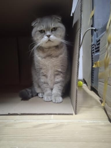 Ömürlük yuvasını arıyoruz fotoğraf