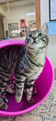 O mucize bir evlat..okurmusunuz fotoğraf