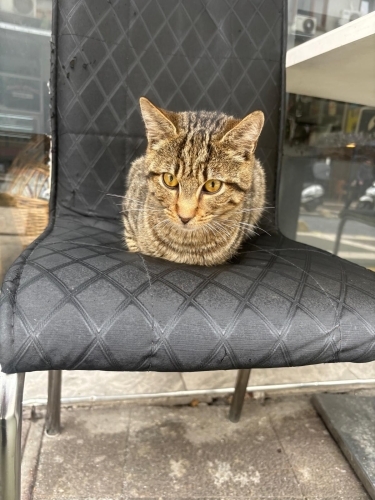 Lütfen Ona Şans Verin fotoğraf