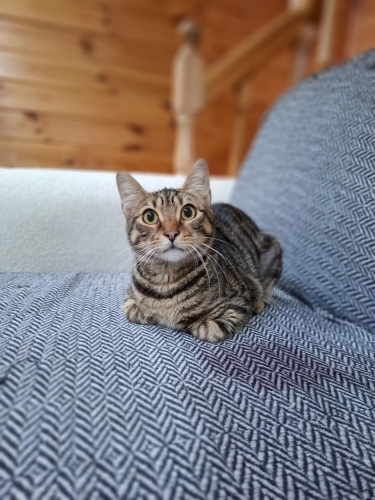 Çektiği eziyetler unutturacak ailesini arıyoruz fotoğraf