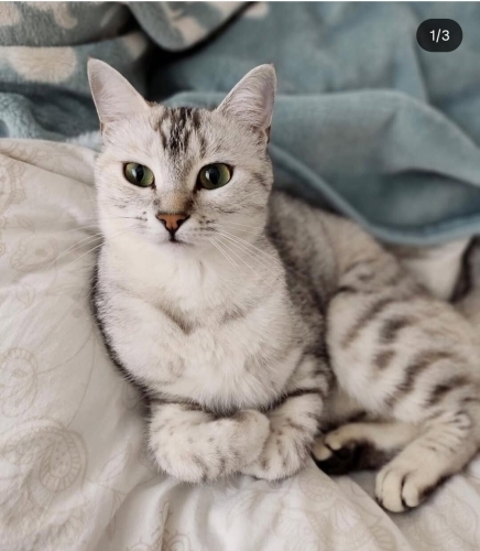 acil yuva arıyoruz fotoğraf