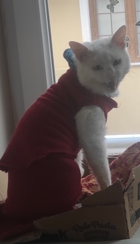 Üretimde kullanılmış sokağa atılmış fotoğraf