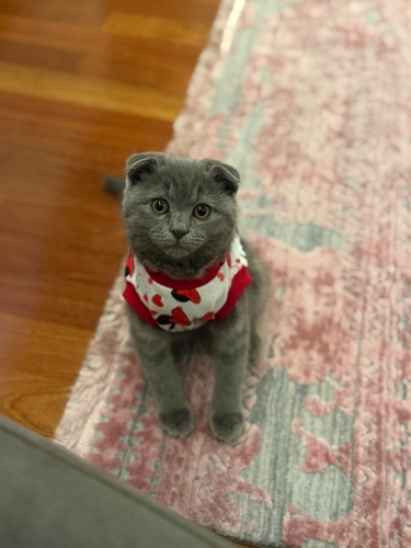 Acil yuva arıyorum hemen iletişime geçin lütfen fotoğraf