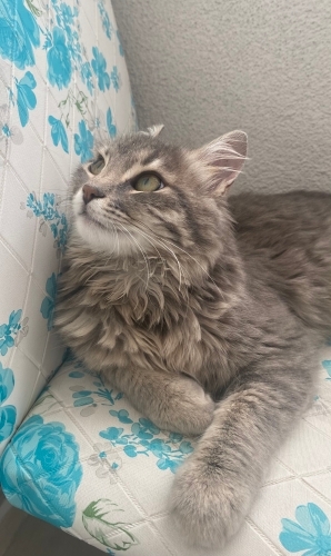 Minnoş kızımıza yuva fotoğraf