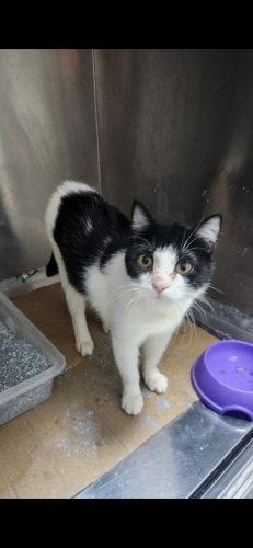 Epilepsi hastasi sokakta yaşayamaz fotoğraf