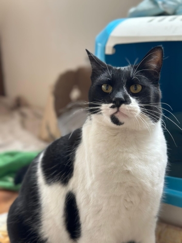 Yakışıklı oğlumuza ömürlük yuva fotoğraf