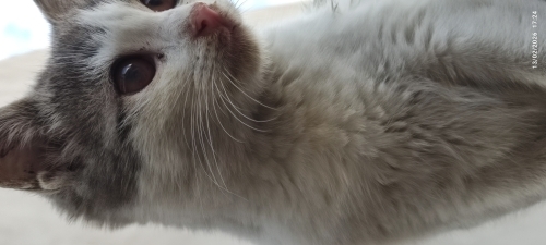 Masum ve mazlum fotoğraf