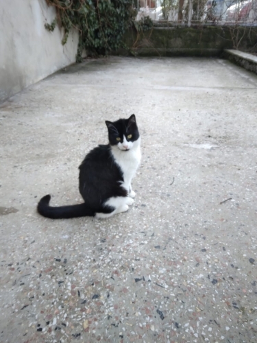 SMOKİN BEBEĞE YUVA fotoğraf