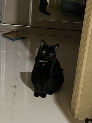 büyüttüğüm bebeğimi sahiplendiriyorum fotoğraf