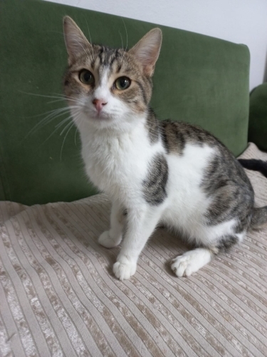 Miskin bebek ömürlük yuvasını arıyor fotoğraf