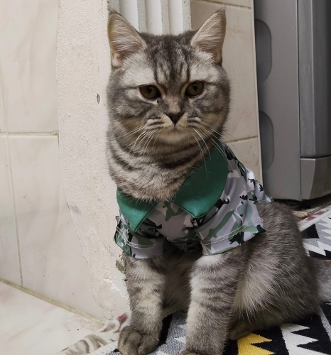 Sadece iyi bir aktrıst 💯❣️ fotoğraf