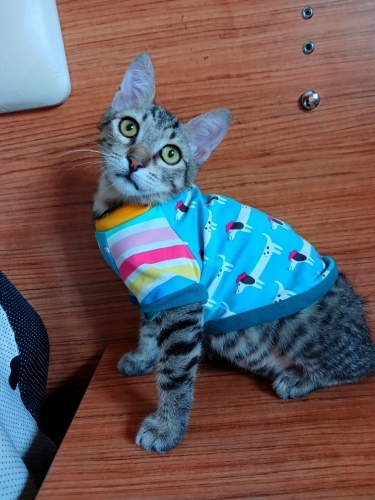 MÜCADELECİ MİNİK KIZIN ÖYKÜSÜNÜ OKURMUSUNUZ fotoğraf