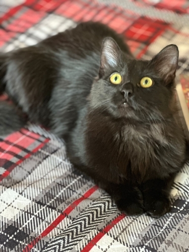 Oğlumuz Hüdai 5 aylık fotoğraf