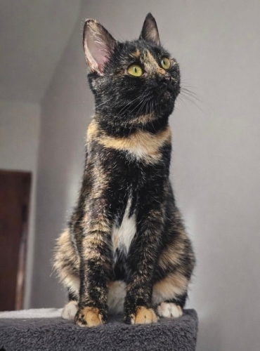 AŞILARI TAM VE KISIR ‼️MÜBAREK GÜNDE ACİİLL ‼️ fotoğraf