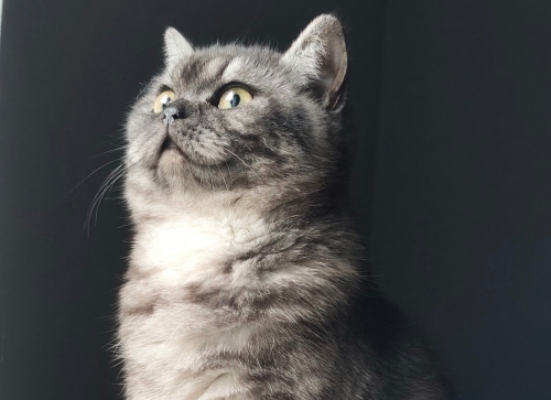 Çalışma arkadaşı kızıma yuva fotoğraf